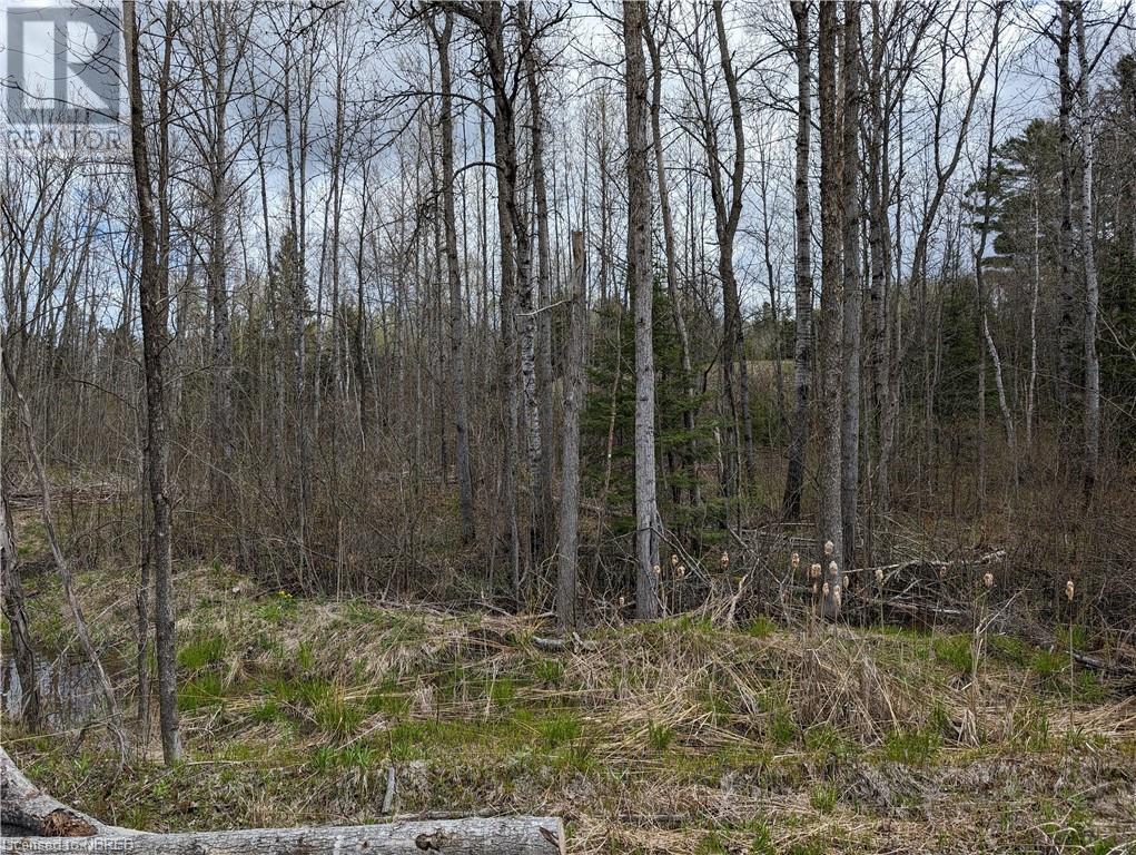 Parts 1,2,4,5 Highway 539, West Nipissing (River Valley), Ontario  P0H 2C0 - Photo 17 - X10708401